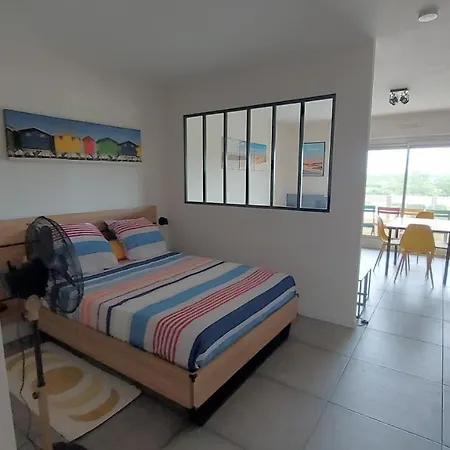 Grand 3 Etoiles - Mimizan-plage - 1 A 4 Pers - Confort - 6 Mn A Pieds De La * Mimizan